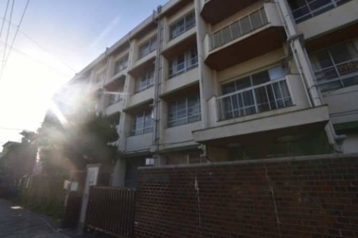 小学校　泉大津市立浜小学校（小学校）まで555m