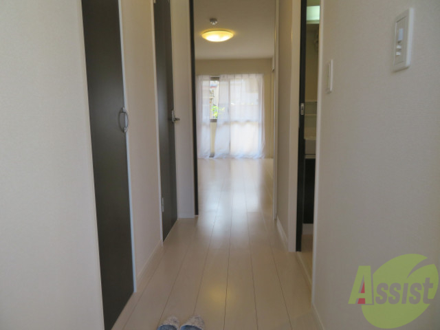 玄関　玄関からの目線です。明るくて気持ちの良いお部屋ですね。