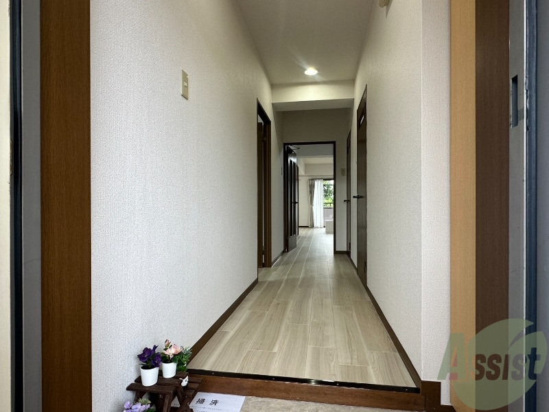 玄関　玄関から撮影しました。明るい印象ですね。