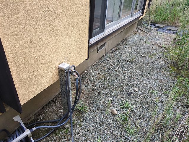 庭