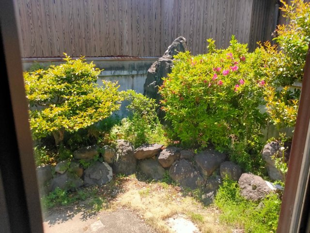 眺望　中庭