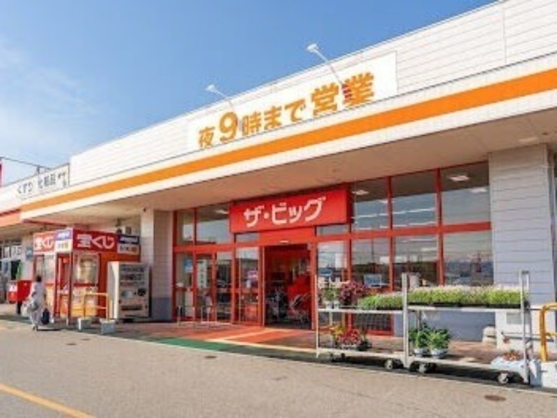 ショッピングセンター　ザ・ビッグ東雁来店（ショッピングセンター）まで808m