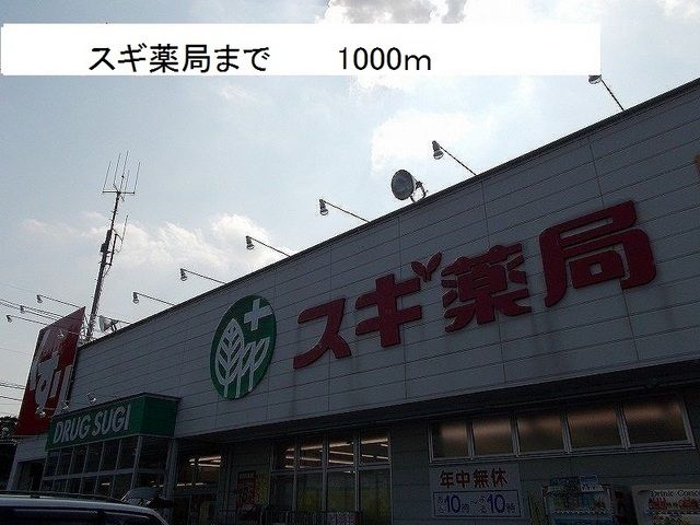 その他　スギ薬局（その他）まで1000m