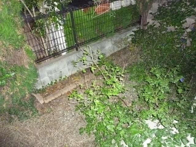 眺望　★ちょっとしたお庭も付いてます★