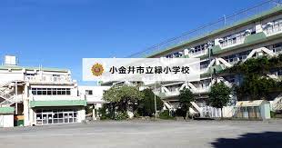小学校　小金井市立緑小学校（小学校）まで784m