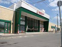 スーパー　東光ストア北広島店（スーパー）まで1055m