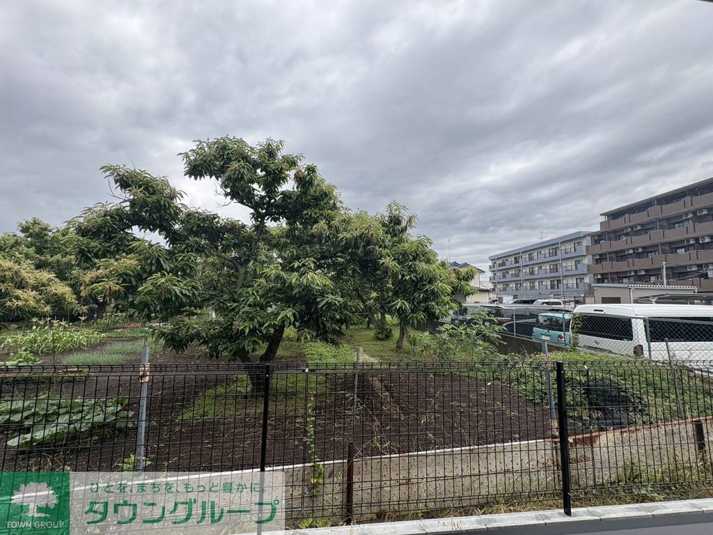 眺望　庭