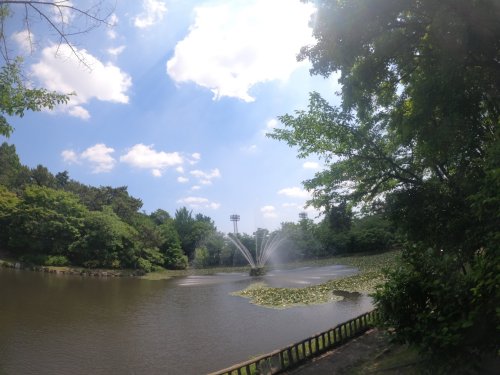 公園　呼続公園（公園）まで664m