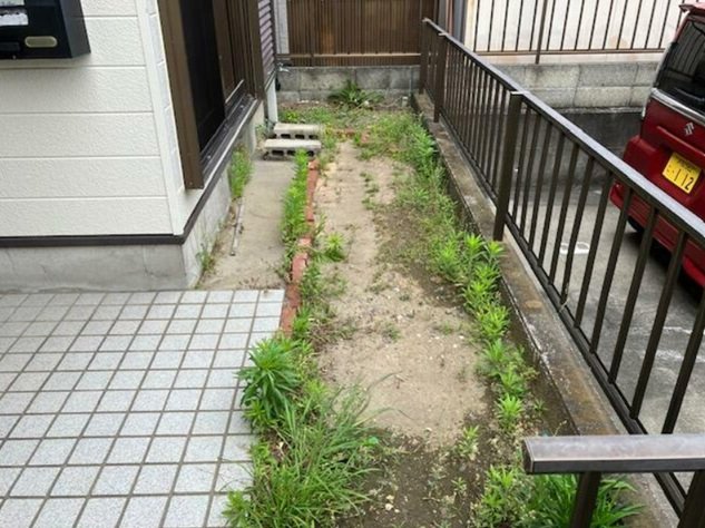 庭