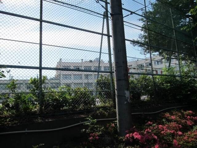 中学校　上板橋第二中学校（中学校）まで683m