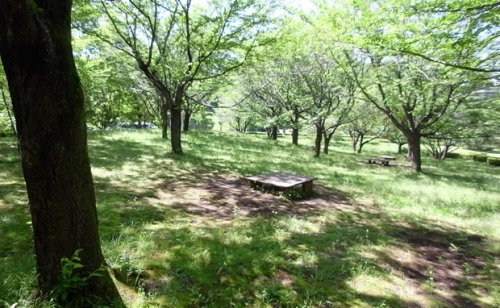 公園　柳沢の池公園（公園）まで938m