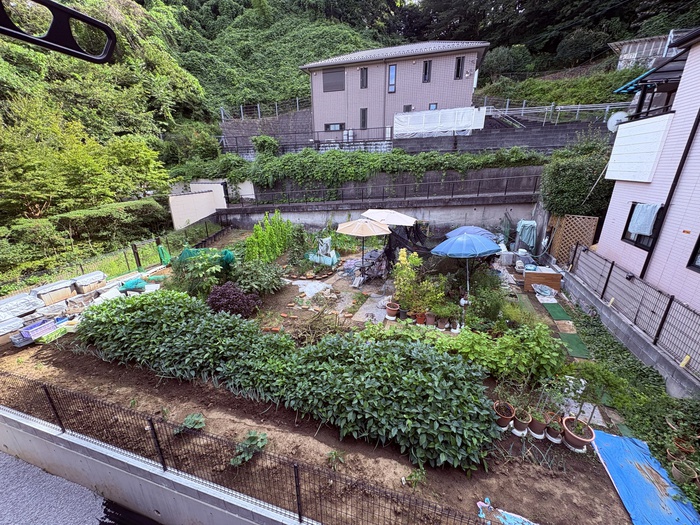 眺望