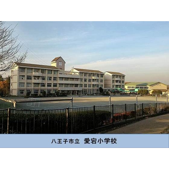小学校　市立愛宕小学校（小学校）まで400m