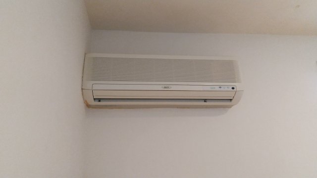 その他　2022年1月撮影