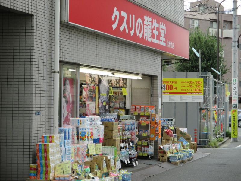 ドラックストア　龍生堂薬局北新宿店（ドラッグストア）まで310m