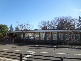 幼稚園・保育園　藤幼稚園（幼稚園・保育園）まで1136m