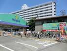 ドラックストア　ウェルパーク調布国領店（ドラッグストア）まで935m