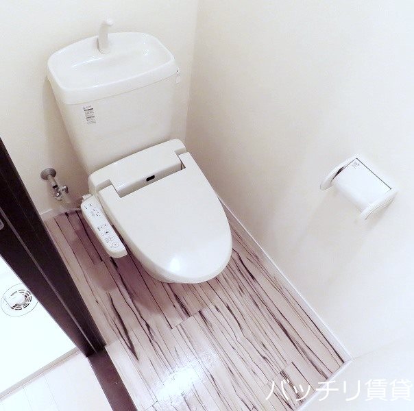 トイレ　同型タイプの為現状優先