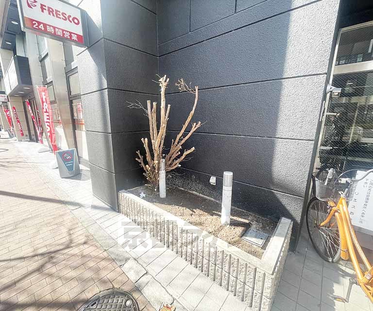 庭