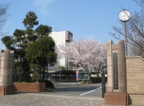 中学校　さいたま市立 美園中学校（中学校）まで2314m