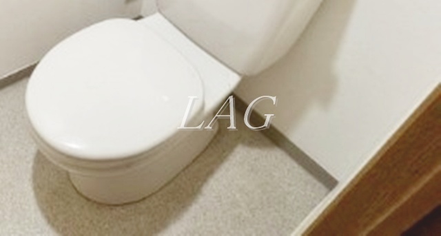 トイレ　トイレです。
