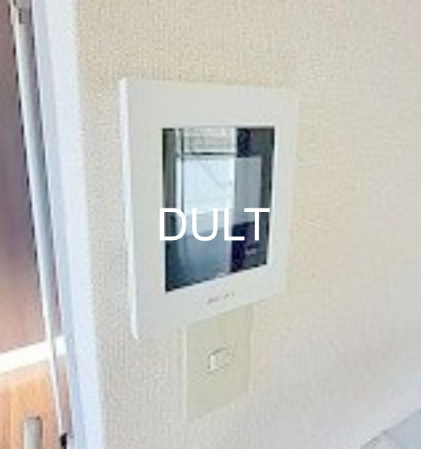 セキュリティ　モニター付きインターホンです。