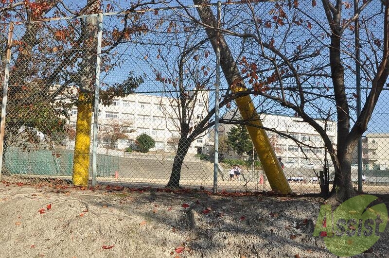 中学校　神戸市立 白川台中学校（中学校）まで373m