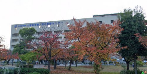 病院　大阪府立急性期・総合医療センター（病院）まで1248m
