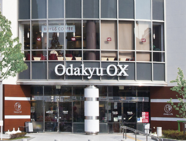 スーパー　OdakyuOX向ヶ丘遊園店（スーパー）まで220m