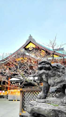 その他　湯島天神（その他）まで578m