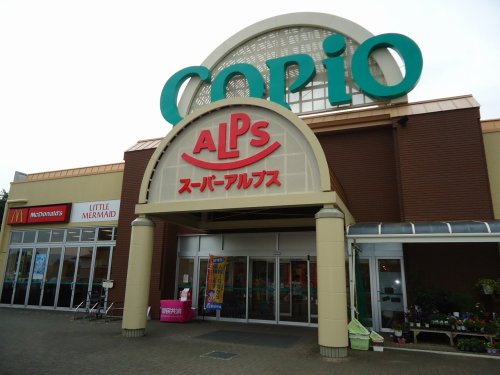スーパー　アルプス原宿店（スーパー）まで630m