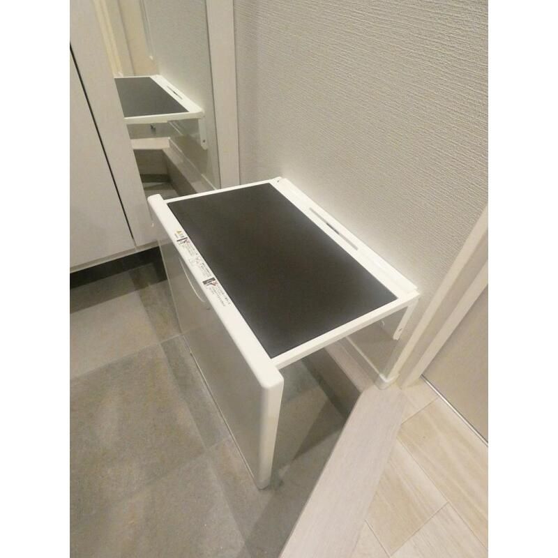その他　モンステラ　荒川区東日暮里6