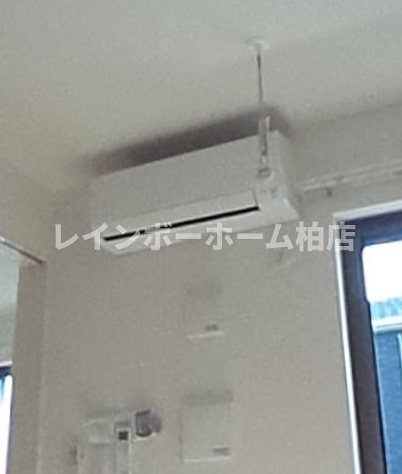 ルチル IIのその他写真
