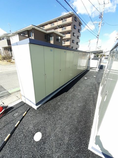 ストームキャットのその他写真