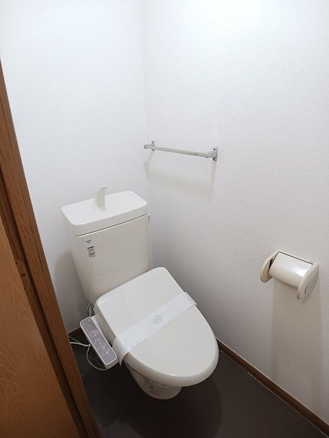 高松琴平電鉄志度線 春日川駅 徒歩7分 2階建 築30年のトイレ写真
