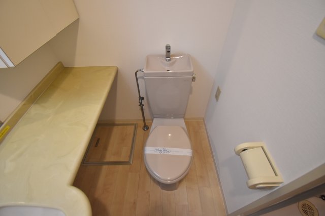 SHINE&SHINE55のトイレ写真