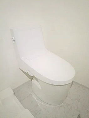 ＪＲ常磐線 松戸駅 徒歩9分 10階建 築1年のトイレ写真