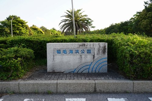 公園　稲毛海浜公園（公園）まで2258m