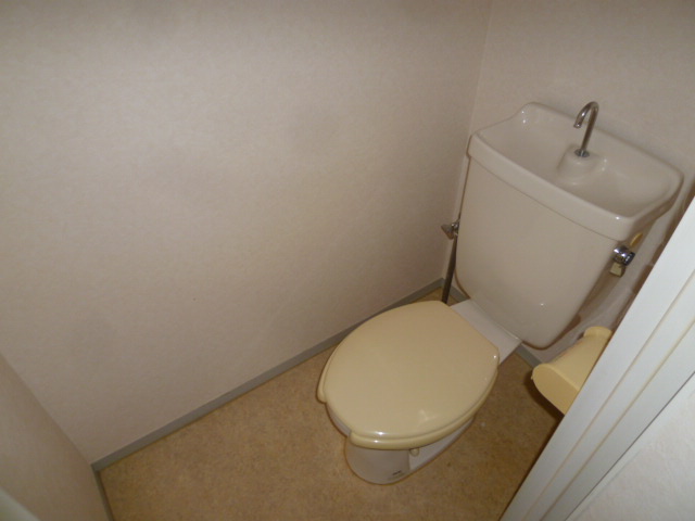 アメージングエステートIのトイレ写真