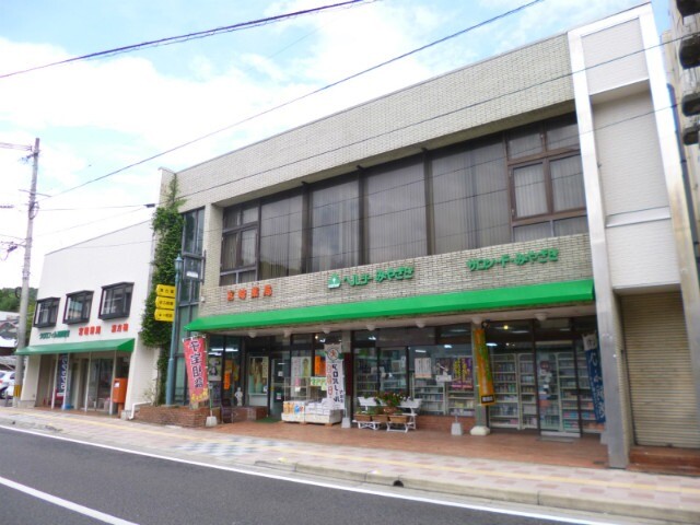 ドラックストア　宮崎薬局本店（ドラッグストア）まで382m
