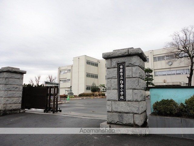 小学校　市原市立白金小学校（小学校）まで400m