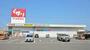 ドラックストア　スギ薬局 新川店（ドラッグストア）まで1577m