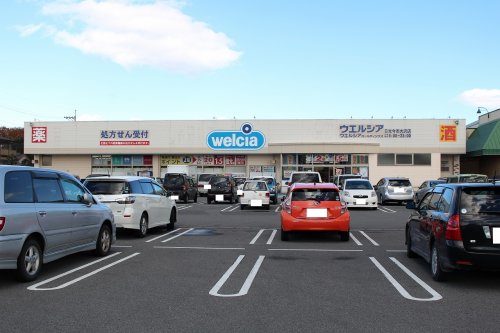 スーパー　ウェルシア　日光今市大沢店（スーパー）まで1248m