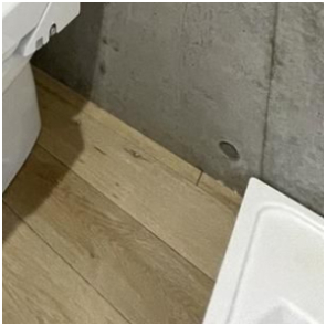 その他設備　トイレ横：洗濯機置場