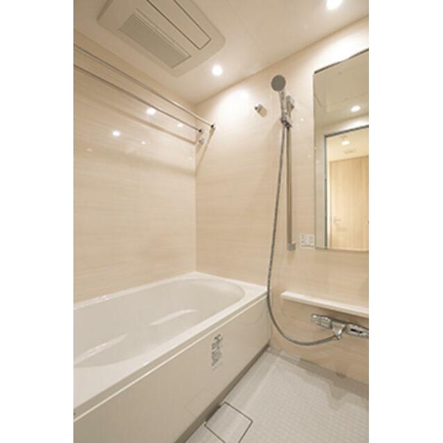 IS銀座レジデンス 部屋番号:1002の風呂写真