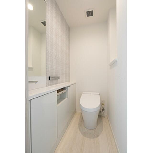 IS銀座レジデンス 部屋番号:1002のトイレ写真