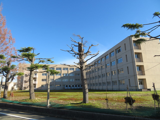 中学校　長岡市立大島中学校（中学校）まで567m