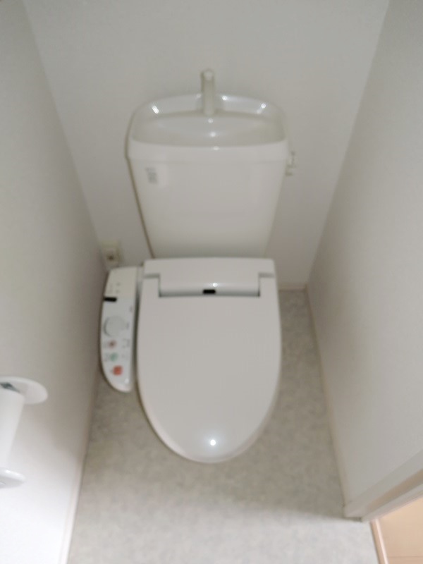 ＪＲ常磐線 東海駅 徒歩15分 2階建 築20年のトイレ写真