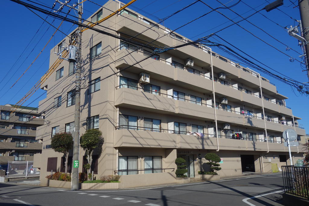 ドエル上地柏