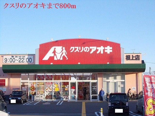 【能美市西二口町のアパートのドラックストア】